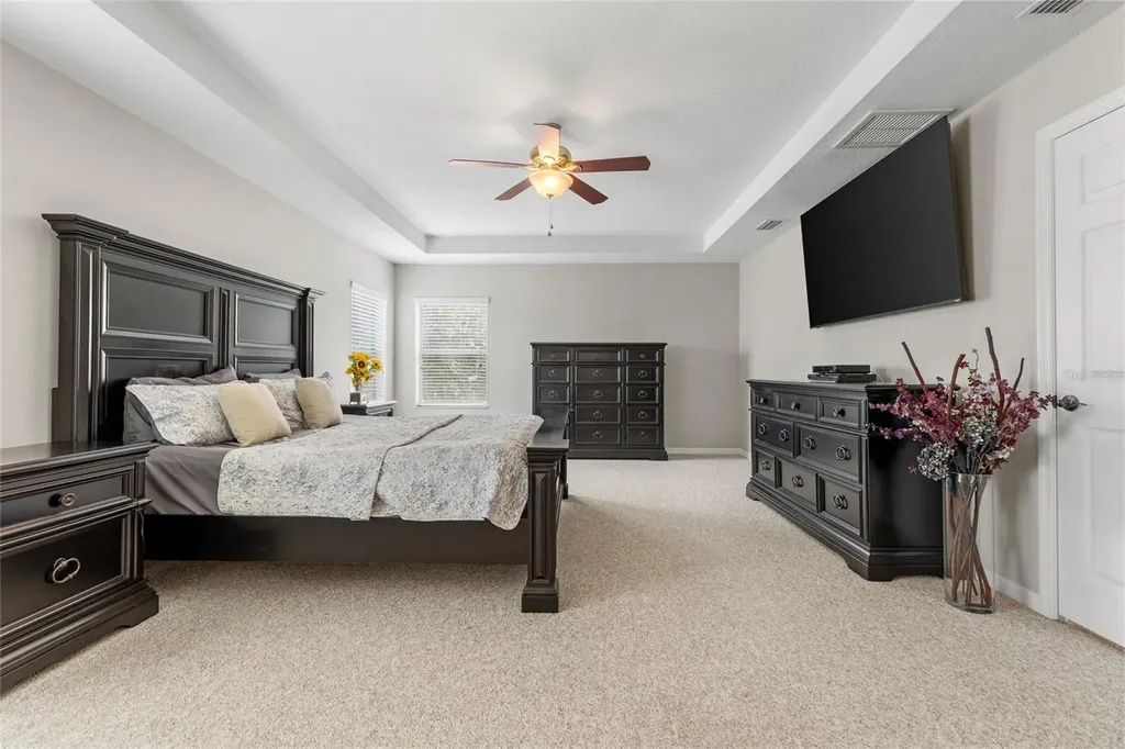 4419 Wildstar Circle Wesley Chapel FL 33544