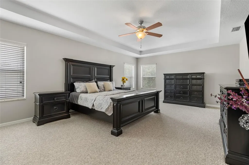 4419 Wildstar Circle Wesley Chapel FL 33544