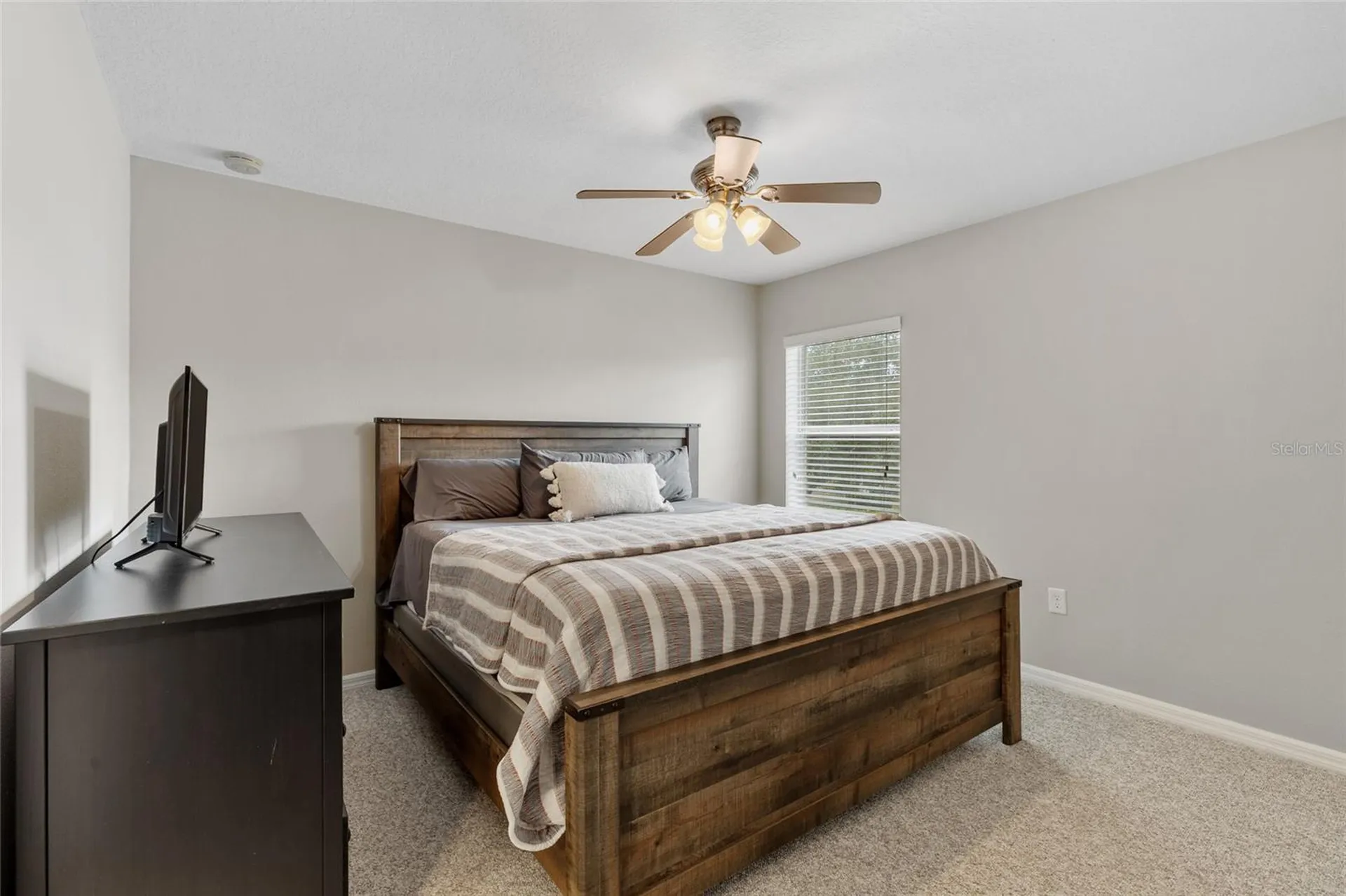4419 Wildstar Circle Wesley Chapel FL 33544