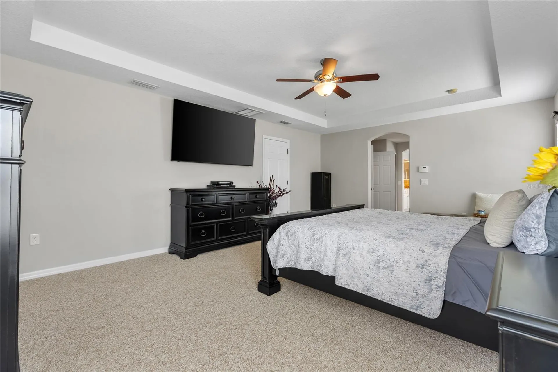 4419 Wildstar Circle Wesley Chapel FL 33544