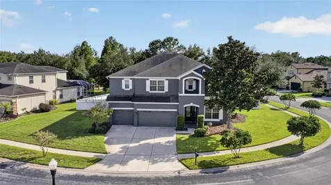 4419 Wildstar Circle Wesley Chapel FL 33544