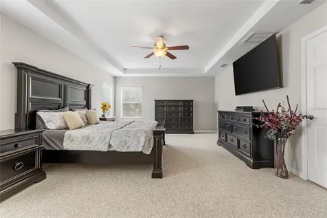 4419 Wildstar Circle Wesley Chapel FL 33544