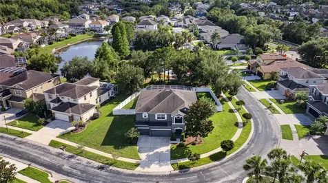 4419 Wildstar Circle Wesley Chapel FL 33544