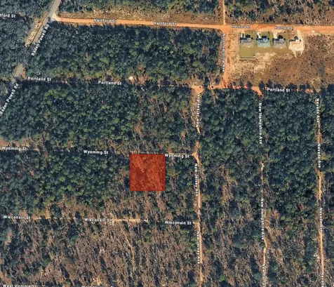 103 Wyoming Street Hawthorne FL 32640