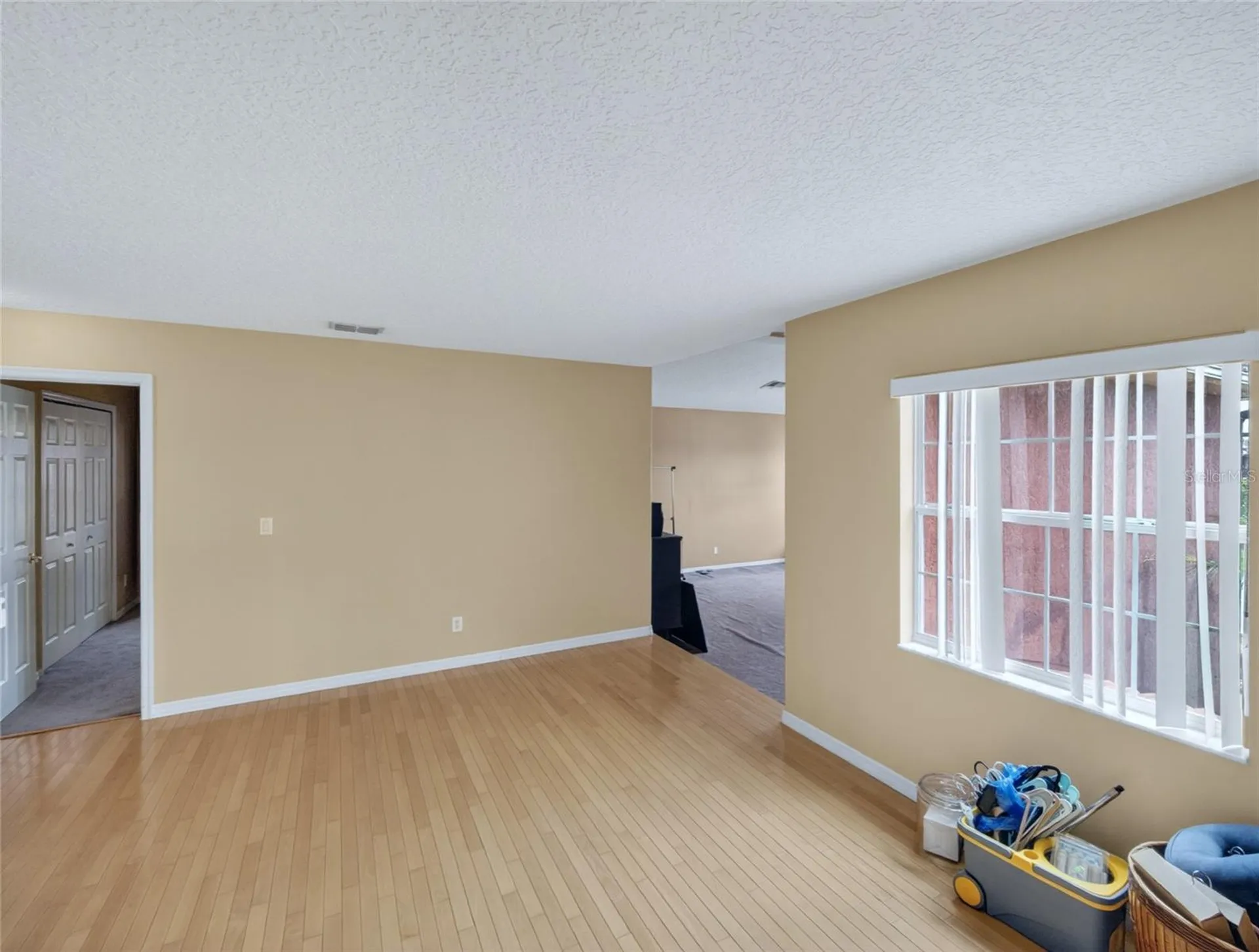 202 Woodson Court Kissimmee FL 34744