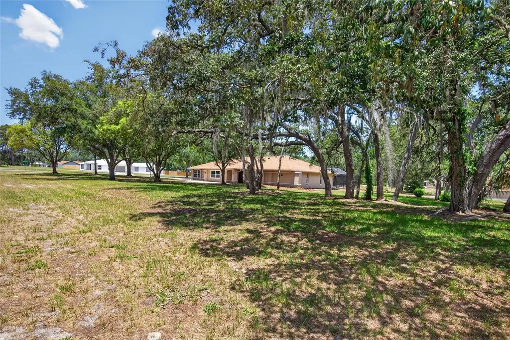 1232 Barranca Avenue Spring Hill FL 34609