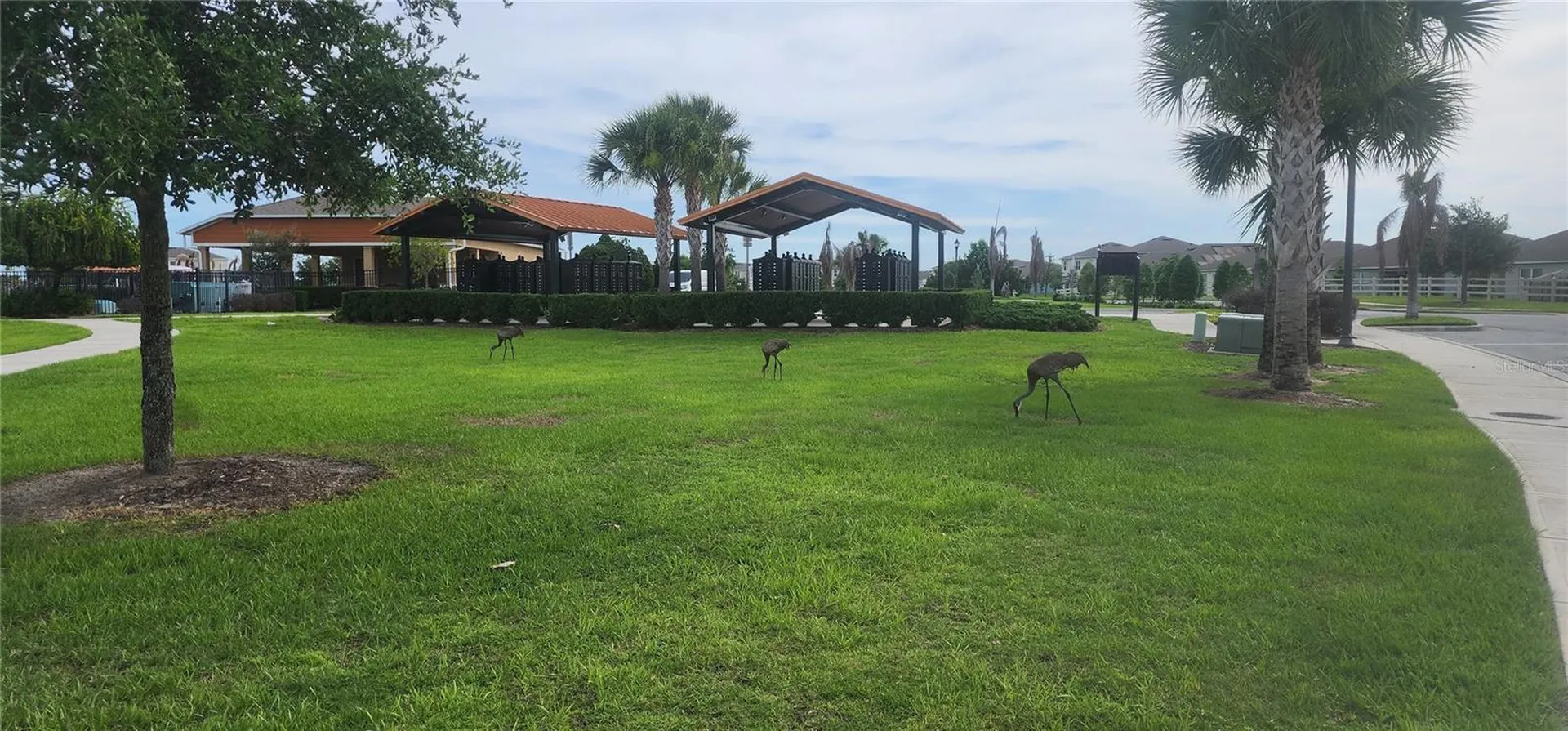 995 Brooklet Drive Davenport FL 33837