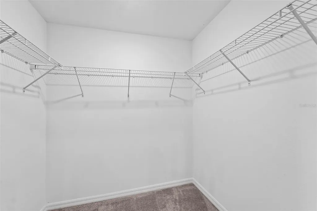 2188 Cerulean Sky Drive Lutz FL 33558