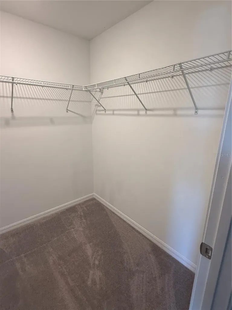 2188 Cerulean Sky Drive Lutz FL 33558
