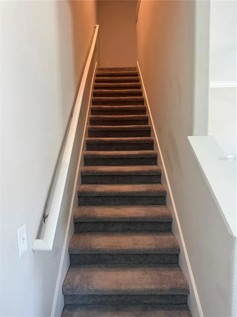 2188 Cerulean Sky Drive Lutz FL 33558