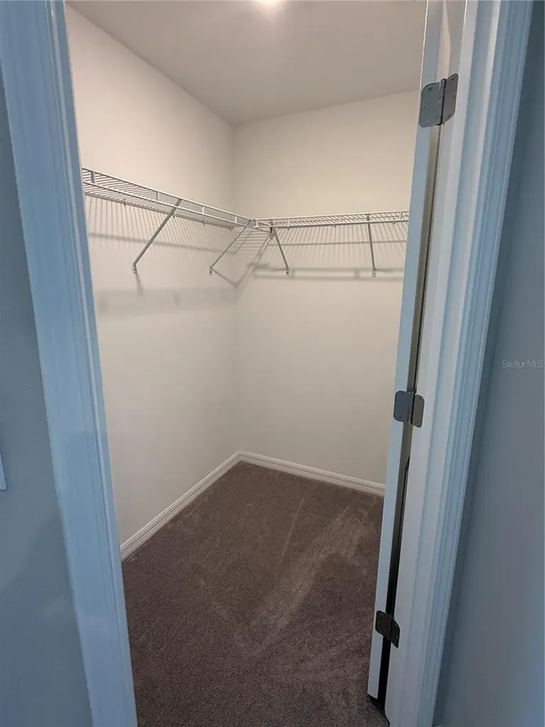 2188 Cerulean Sky Drive Lutz FL 33558