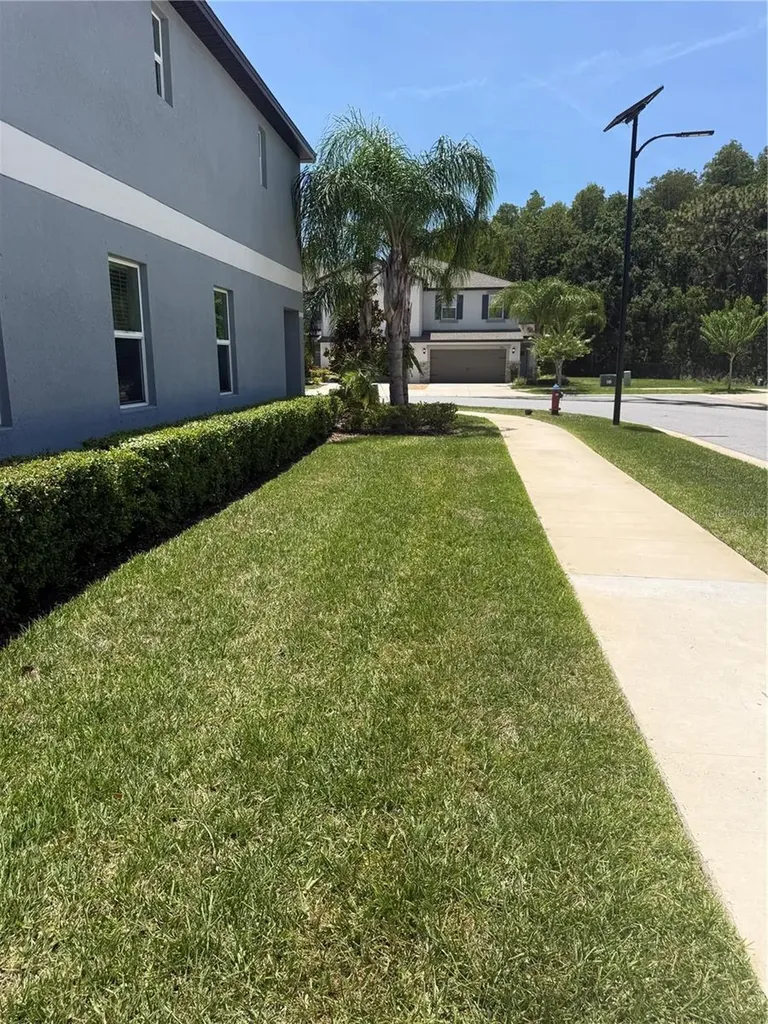 2188 Cerulean Sky Drive Lutz FL 33558