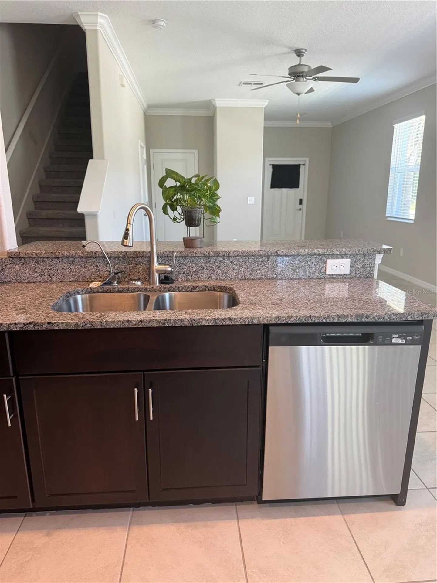 2188 Cerulean Sky Drive Lutz FL 33558