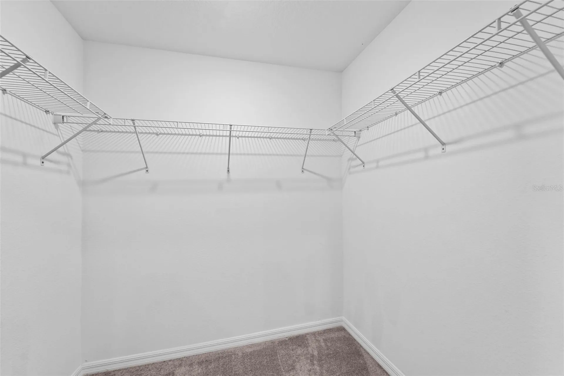 2188 Cerulean Sky Drive Lutz FL 33558