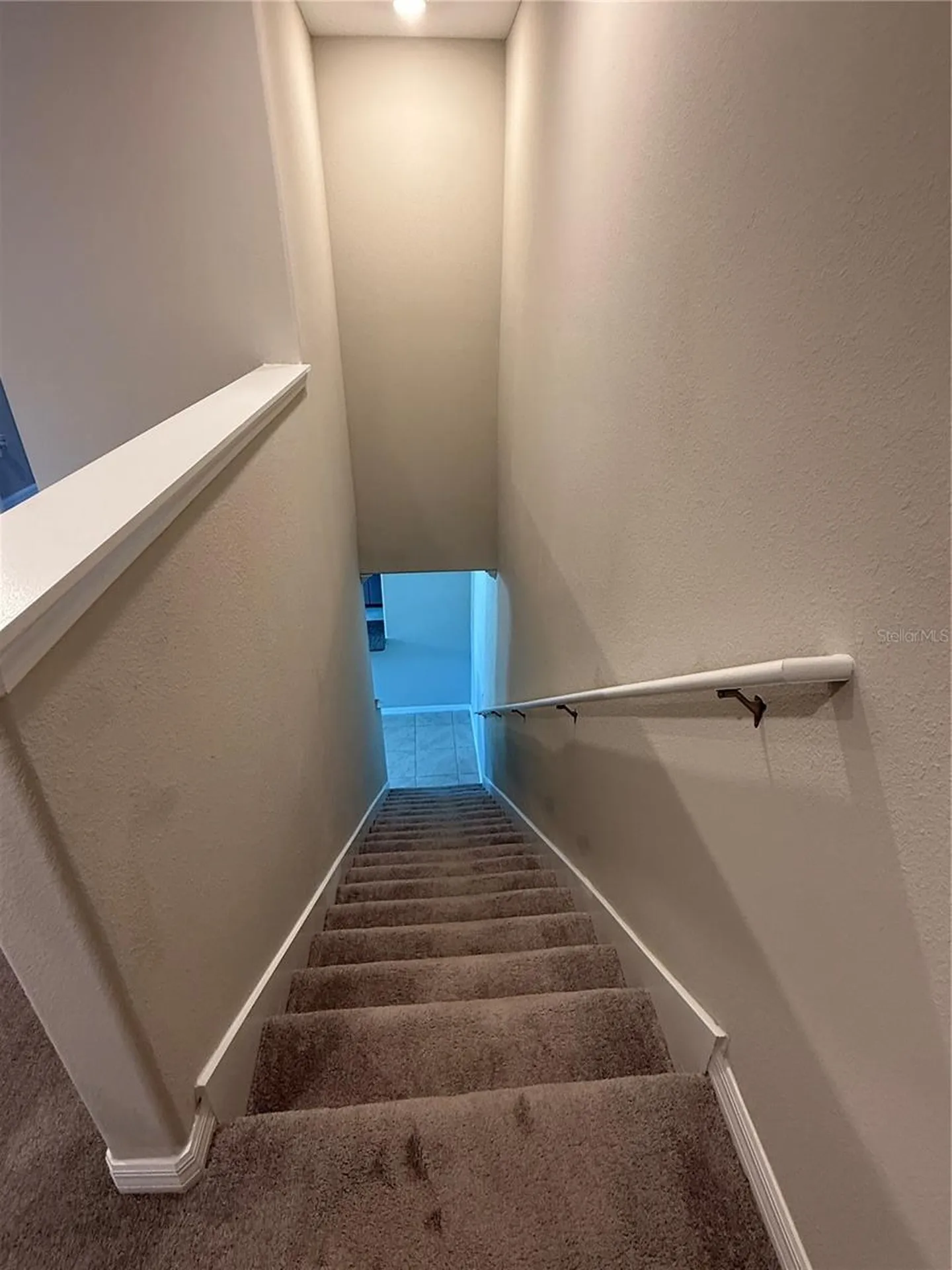2188 Cerulean Sky Drive Lutz FL 33558