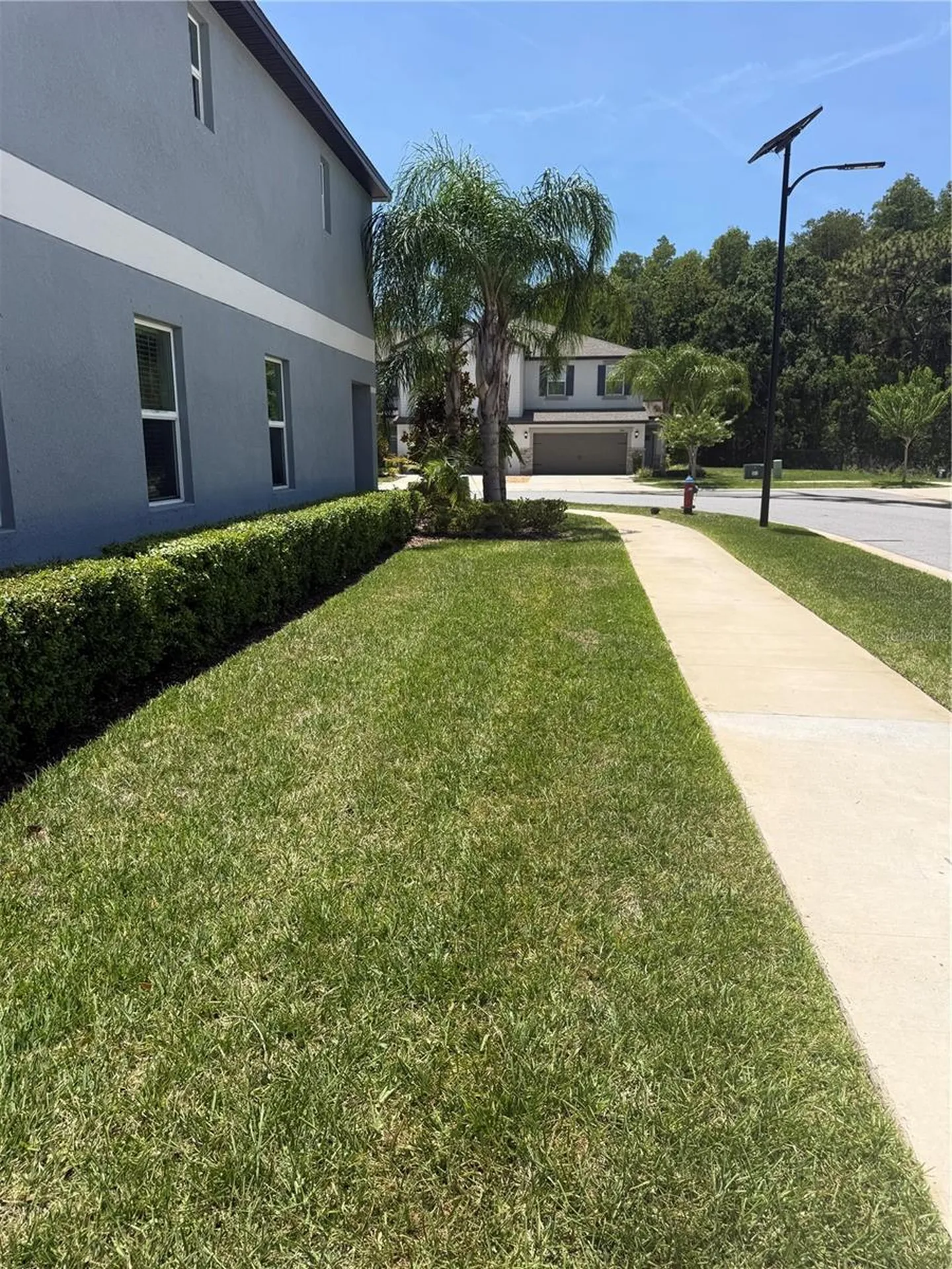 2188 Cerulean Sky Drive Lutz FL 33558