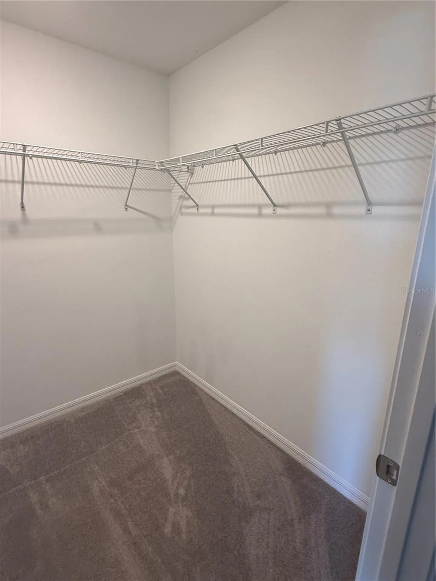 2188 Cerulean Sky Drive Lutz FL 33558