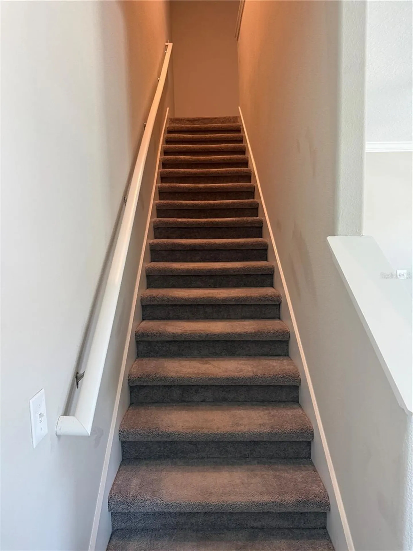 2188 Cerulean Sky Drive Lutz FL 33558