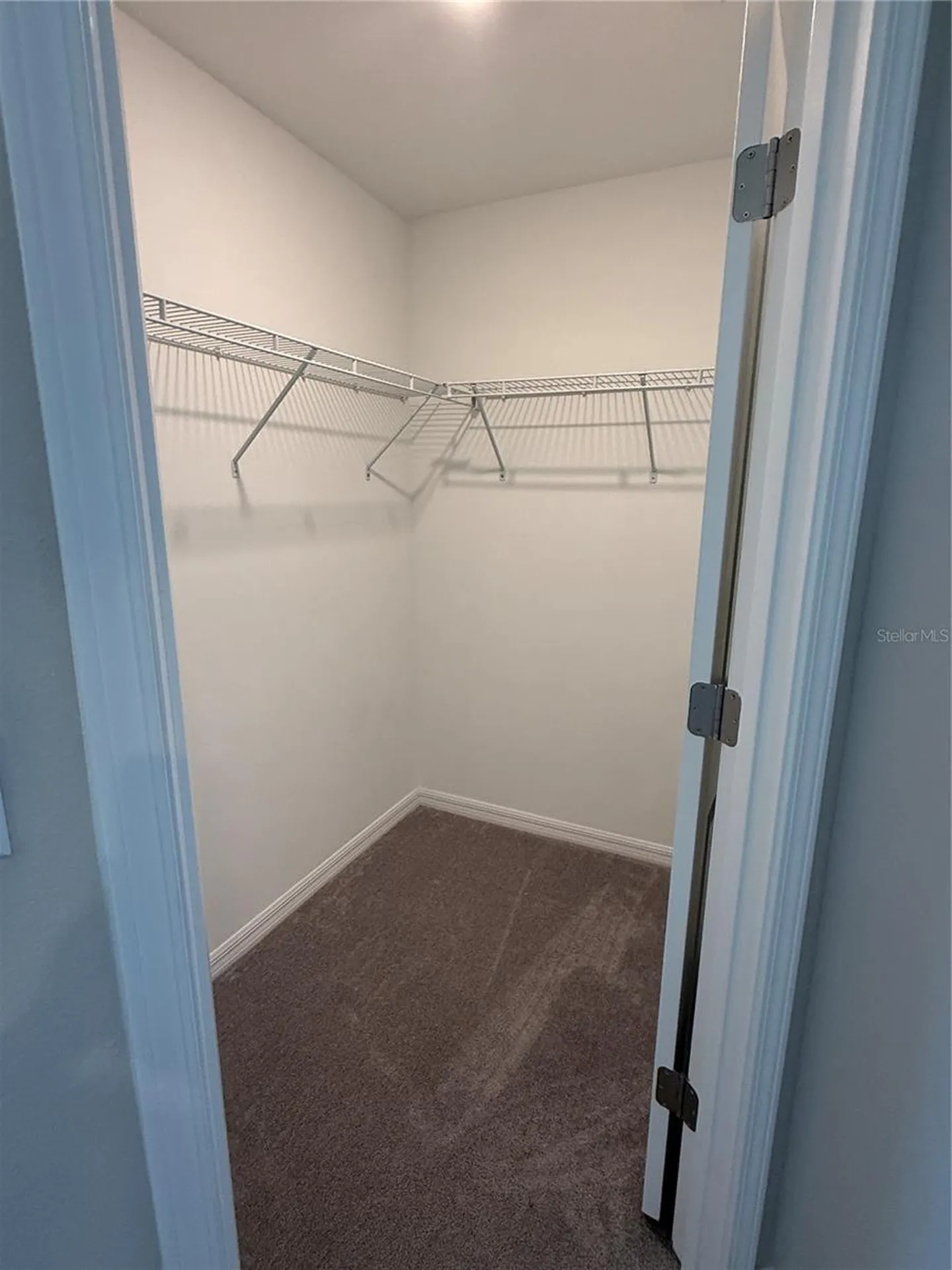 2188 Cerulean Sky Drive Lutz FL 33558