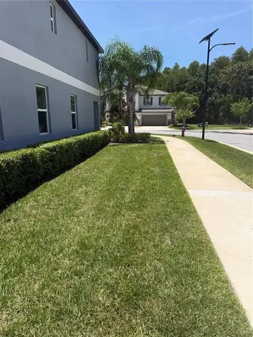 2188 Cerulean Sky Drive Lutz FL 33558