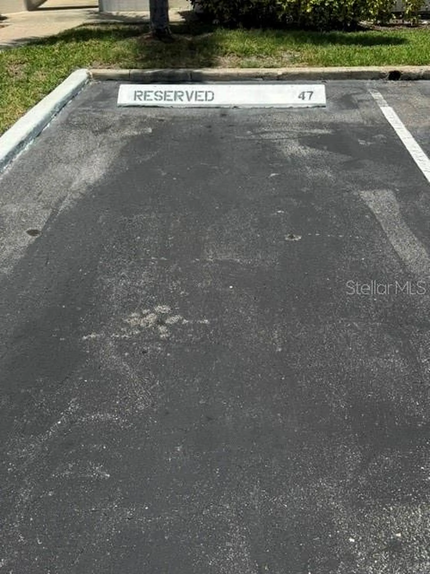 6035 Bahia Del Mar Boulevard St Petersburg FL 33715