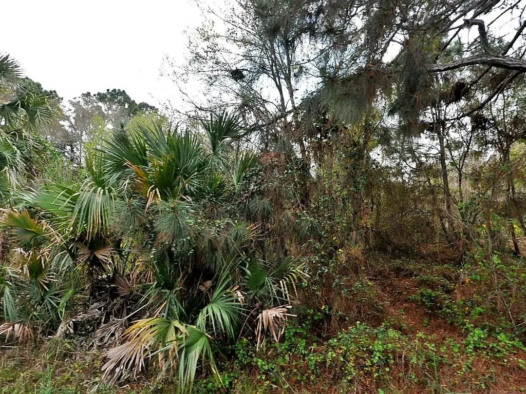 Henning Street North Port FL 34288