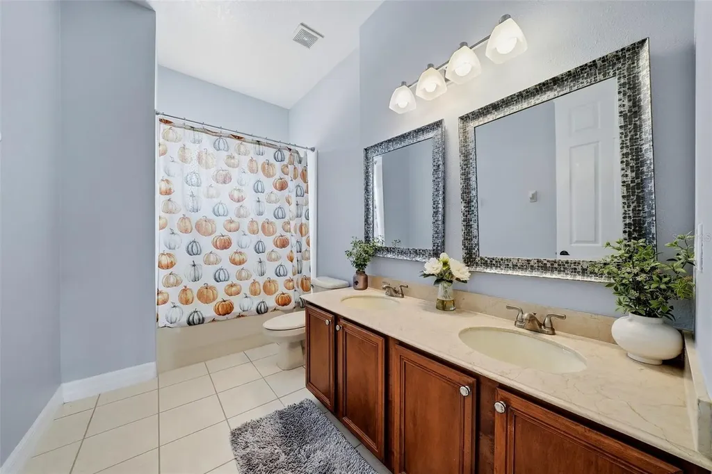 18043 Cozumel Isle Drive Tampa FL 33647