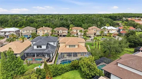 18043 Cozumel Isle Drive Tampa FL 33647