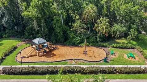 18043 Cozumel Isle Drive Tampa FL 33647