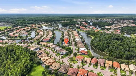 18043 Cozumel Isle Drive Tampa FL 33647