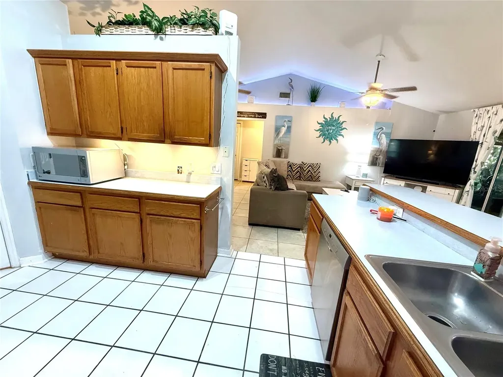 11048 Rosehill Drive Clermont FL 34711