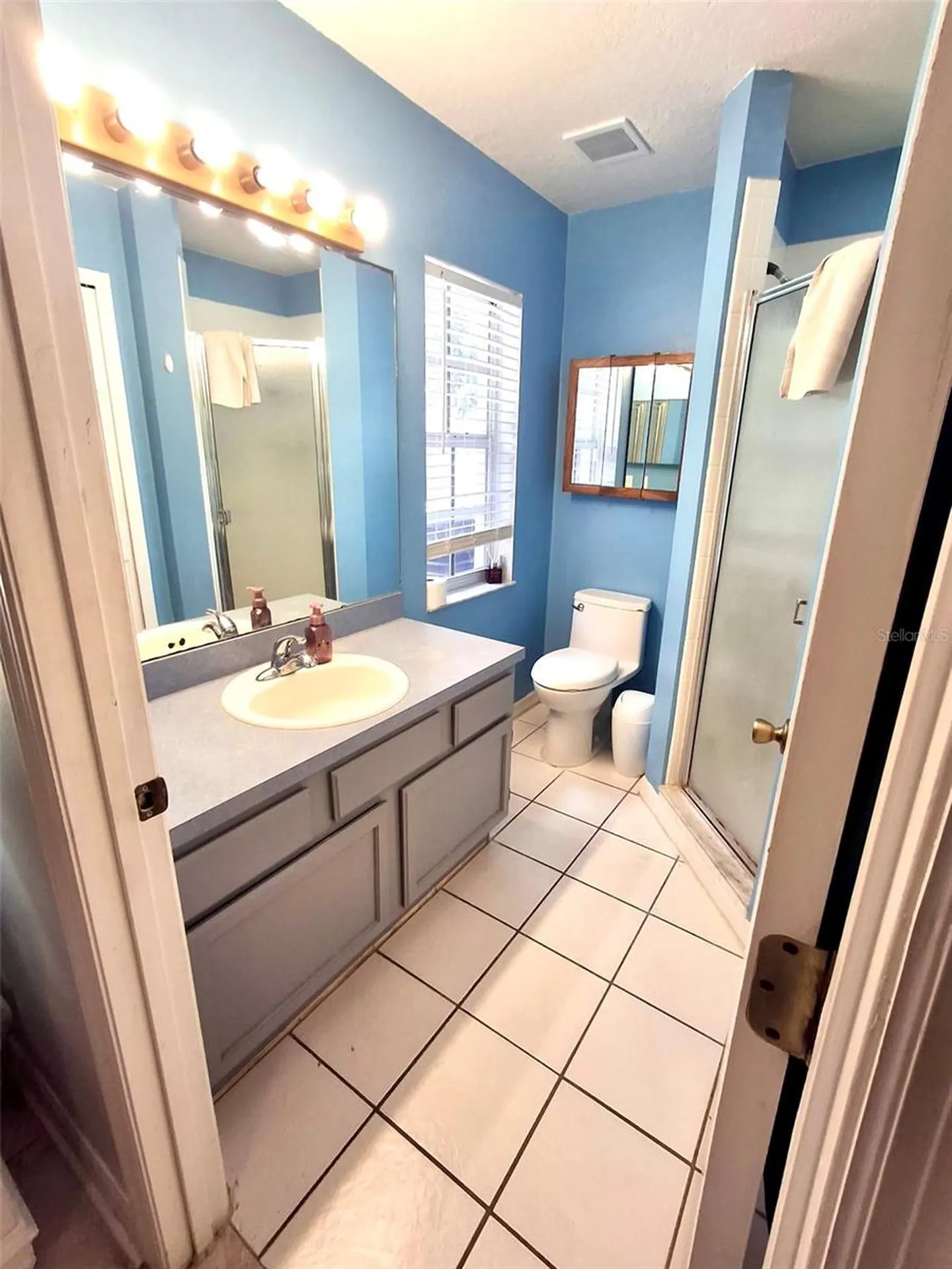 11048 Rosehill Drive Clermont FL 34711