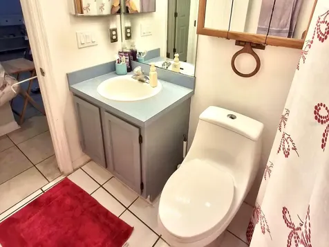 11048 Rosehill Drive Clermont FL 34711