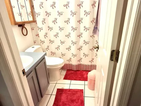 11048 Rosehill Drive Clermont FL 34711