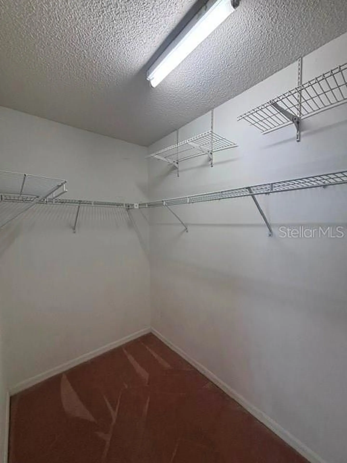 5301 White Cliff Lane Orlando FL 32812