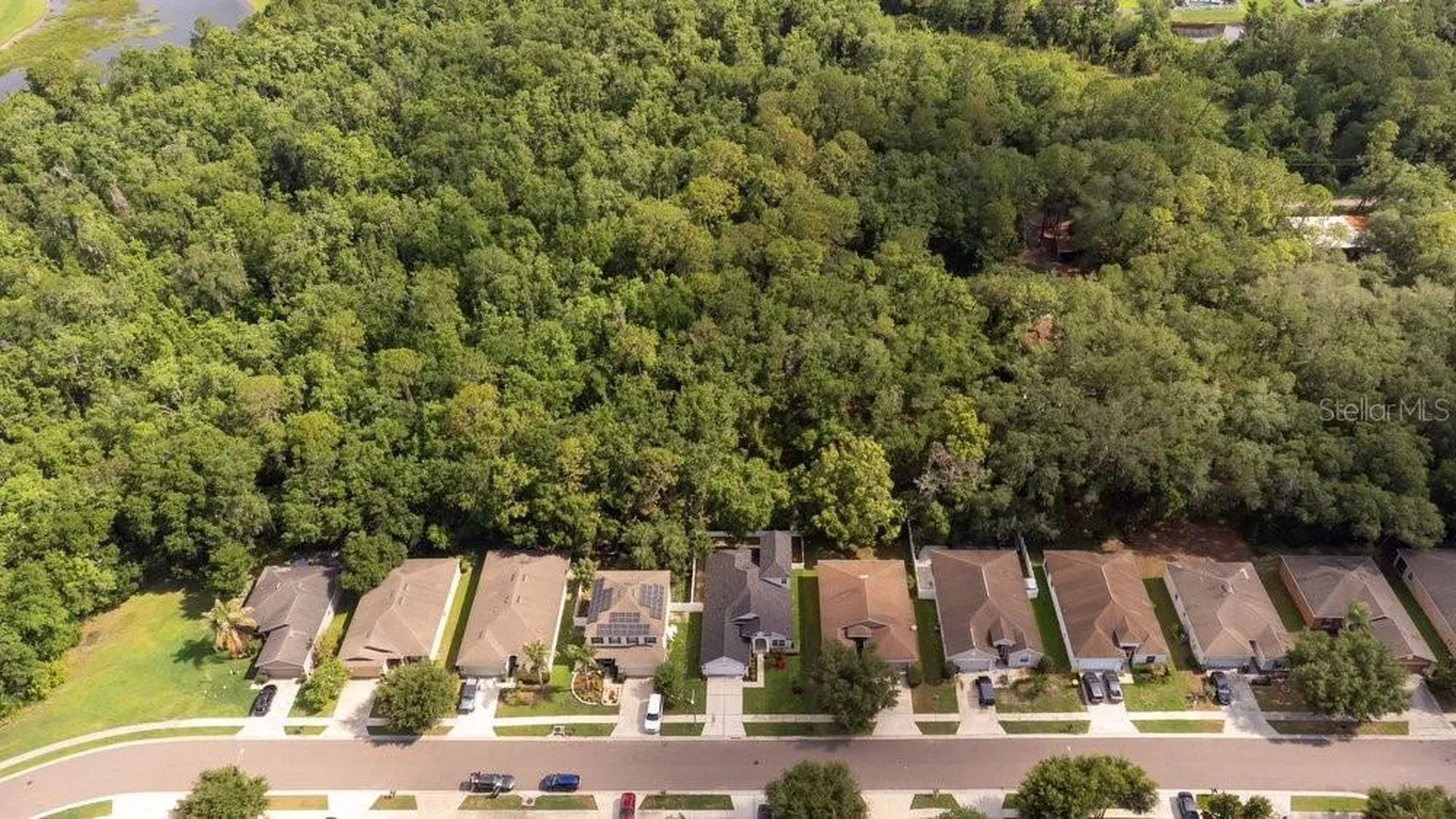 6249 Twin Bridges Drive Zephyrhills FL 33541