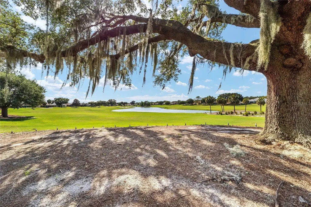 1322 Augustine Drive The Villages FL 32159