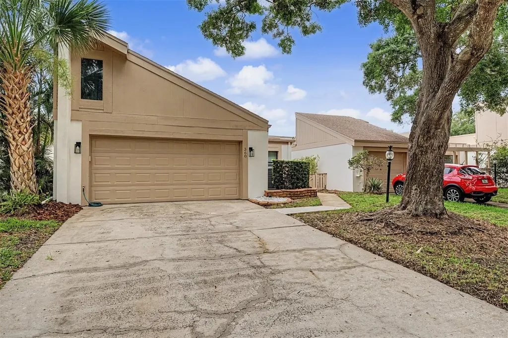 360 S Woodlands Drive Oldsmar FL 34677