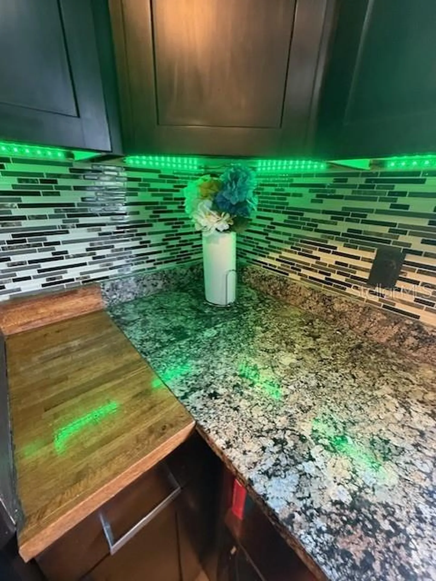 3301 Elkridge Drive Holiday FL 34691