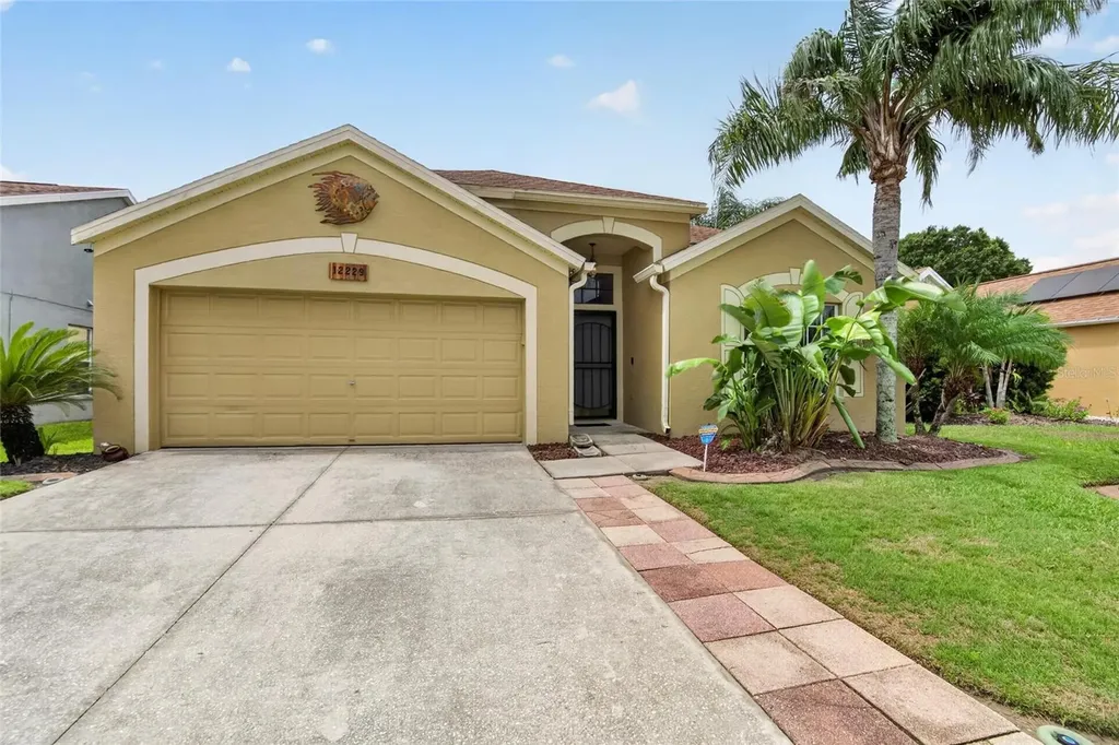 12229 Dawn Vista Drive Riverview FL 33578