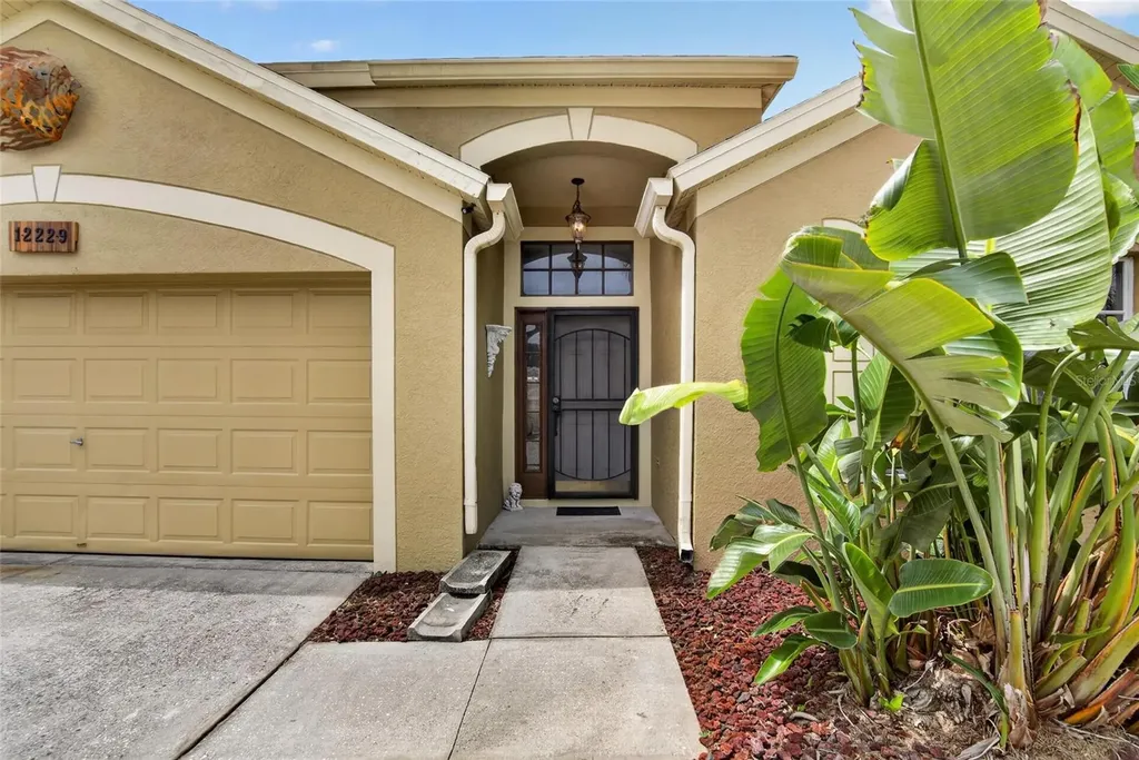 12229 Dawn Vista Drive Riverview FL 33578