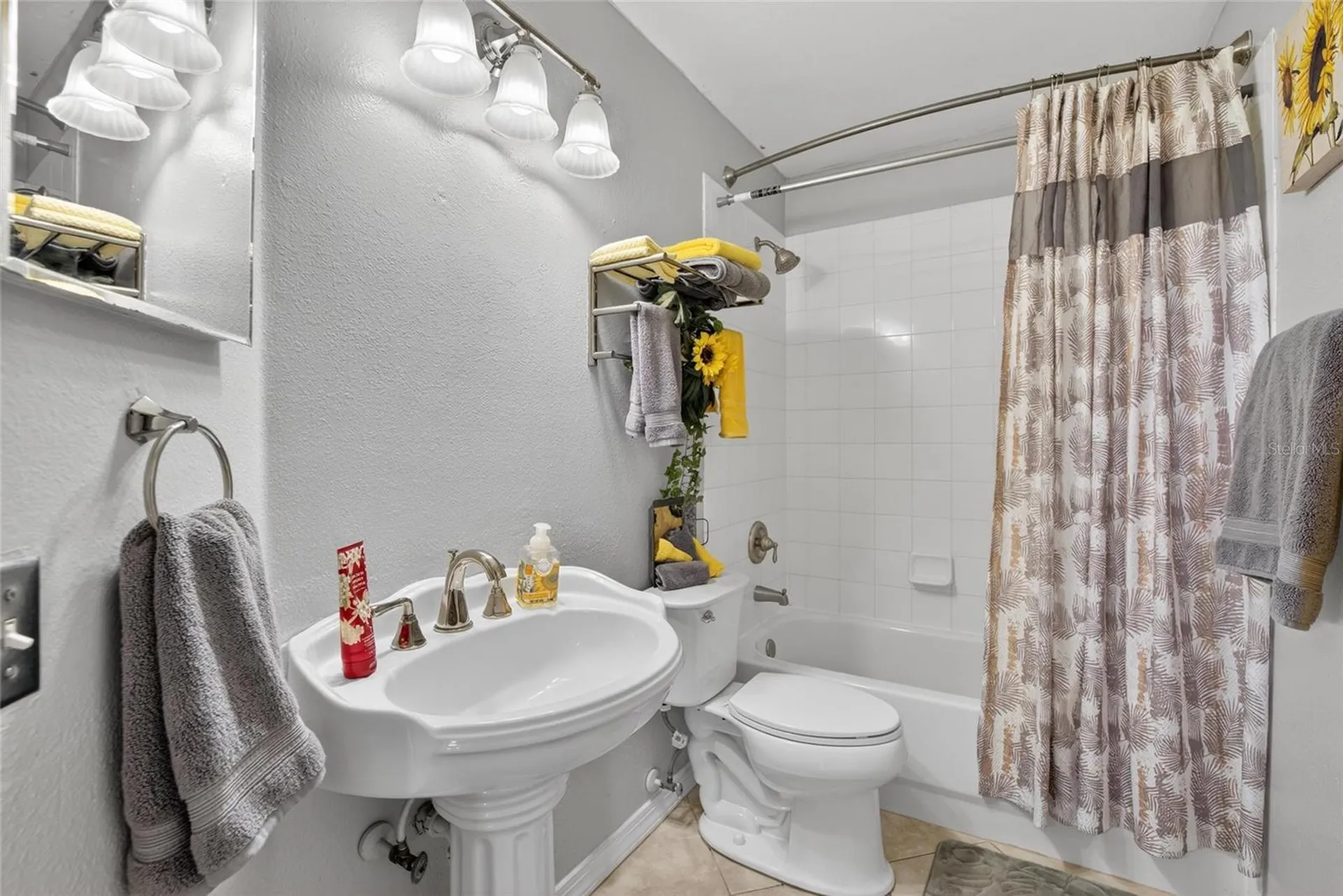 12229 Dawn Vista Drive Riverview FL 33578
