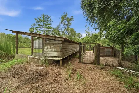 41707 Aspen Street Eustis FL 32736