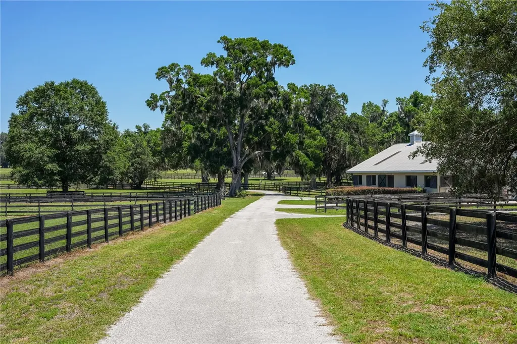 15620 NW Highway 225 Reddick FL 32686