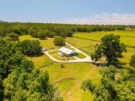 15620 NW Highway 225 Reddick FL 32686