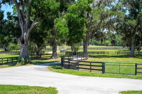 15620 NW Highway 225 Reddick FL 32686