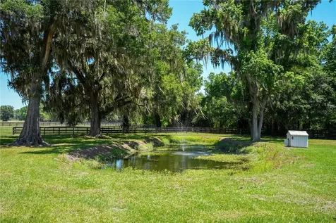 15620 NW Highway 225 Reddick FL 32686