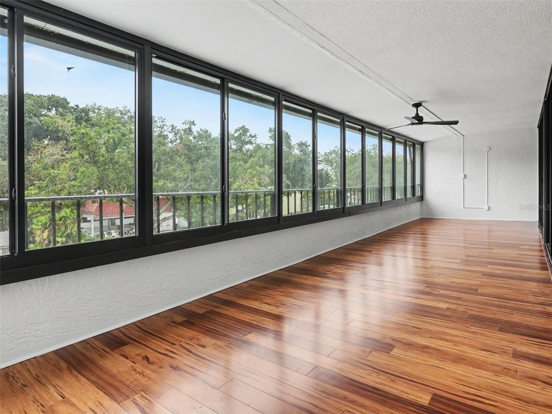 3211 W Swann Avenue Tampa FL 33609