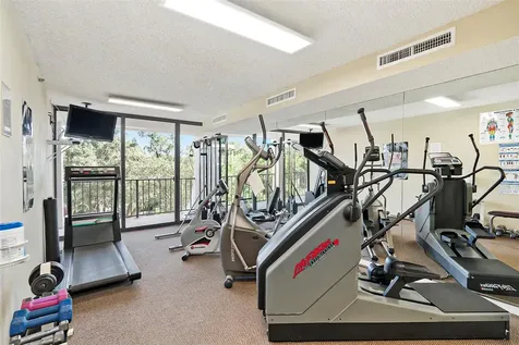 3211 W Swann Avenue Tampa FL 33609