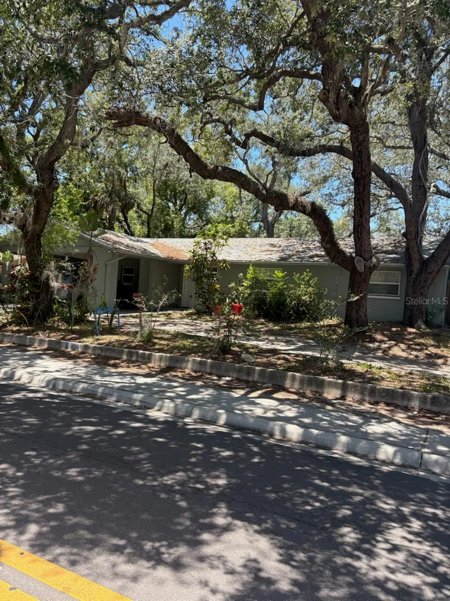 439 E Martin Luther King Jr Drive Tarpon Springs FL 34689